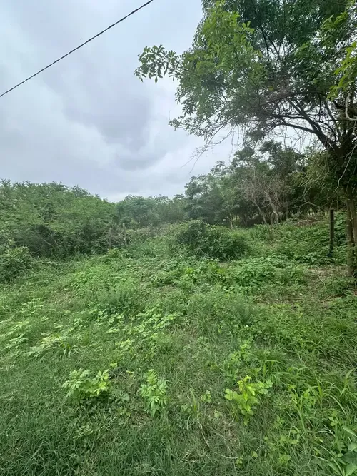 Foto 4 de Terreno en Venta Urbanizacion San Miguel
