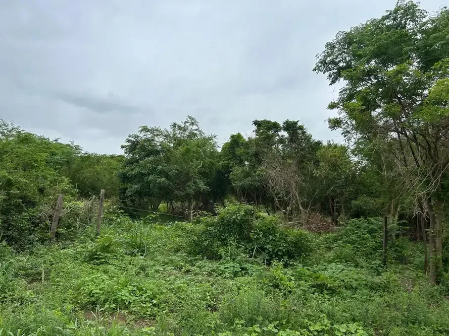 Foto 1 de Terreno en Venta Urbanizacion San Miguel