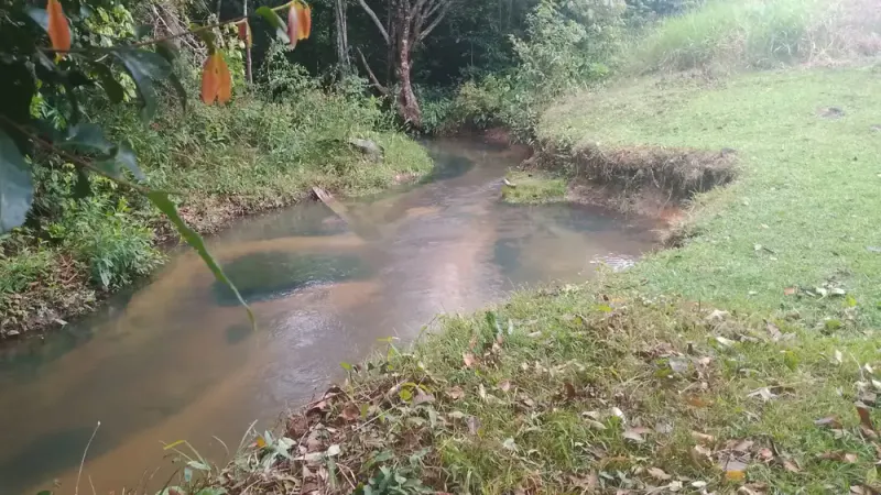 Foto 9 de Urbanización en Venta Sobre Carretera Guayaramerín y Brasil
