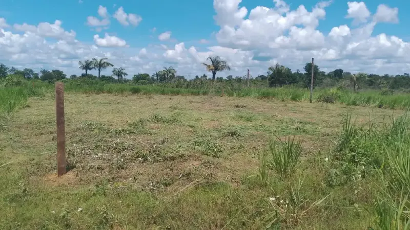 Foto 14 de Urbanización en Venta Sobre Carretera Guayaramerín y Brasil