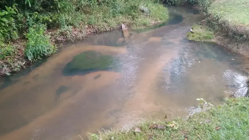 Foto 11 de Urbanización en Venta Sobre Carretera Guayaramerín y Brasil