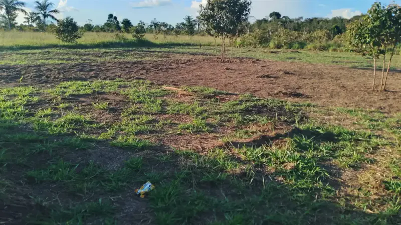 Foto 12 de Urbanización en Venta Sobre Carretera Guayaramerín y Brasil