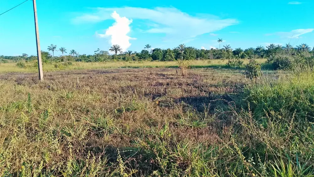 Foto 13 de Urbanización en Venta Sobre Carretera Guayaramerín y Brasil