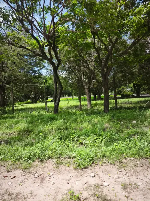 Foto 3 de Terreno en Venta Dentro de Urbanización Cerrada