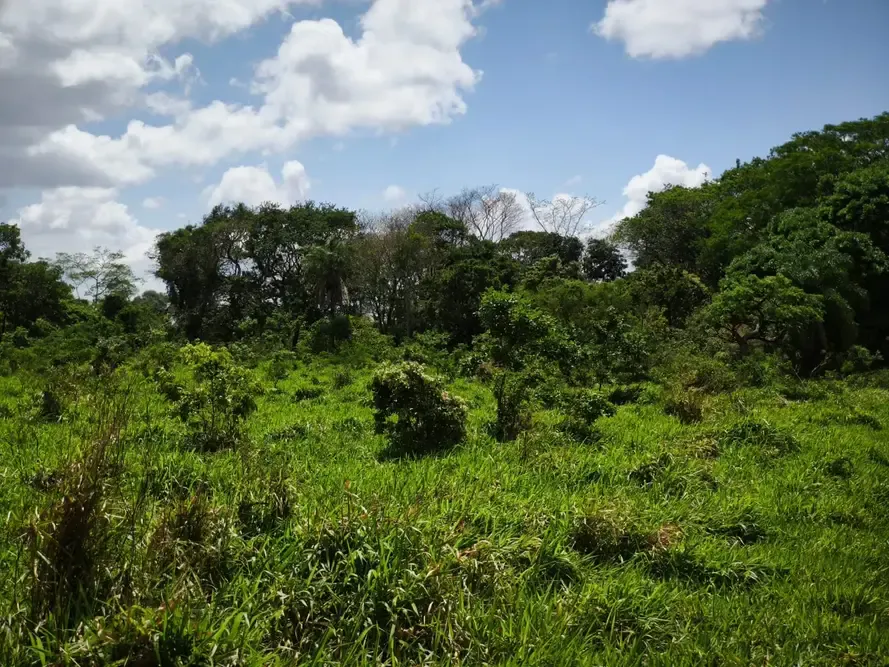 Foto 5 de Terreno en Venta Dentro de Urbanización Cerrada