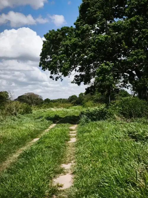 Foto 4 de Terreno en Venta Dentro de Urbanización Cerrada