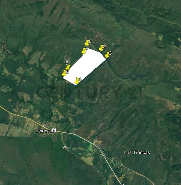 Foto 2 de Propiedad para Ganadería en Venta en Limoncito - Roboré