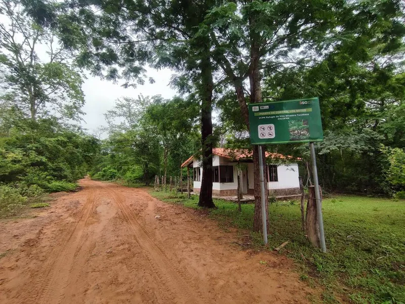 Foto 7 de Propiedad para Ganadería en Venta en Limoncito - Roboré