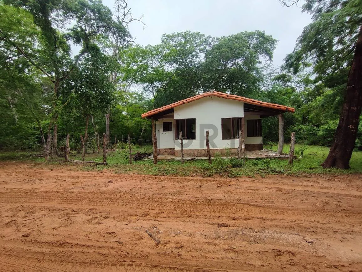Foto 4 de Propiedad para Ganadería en Venta en Limoncito - Roboré