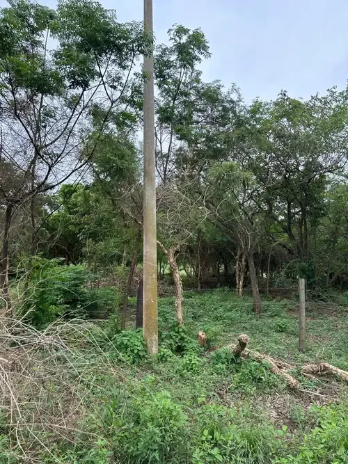 Foto 2 de Terreno en Venta Urbanización San Miguel