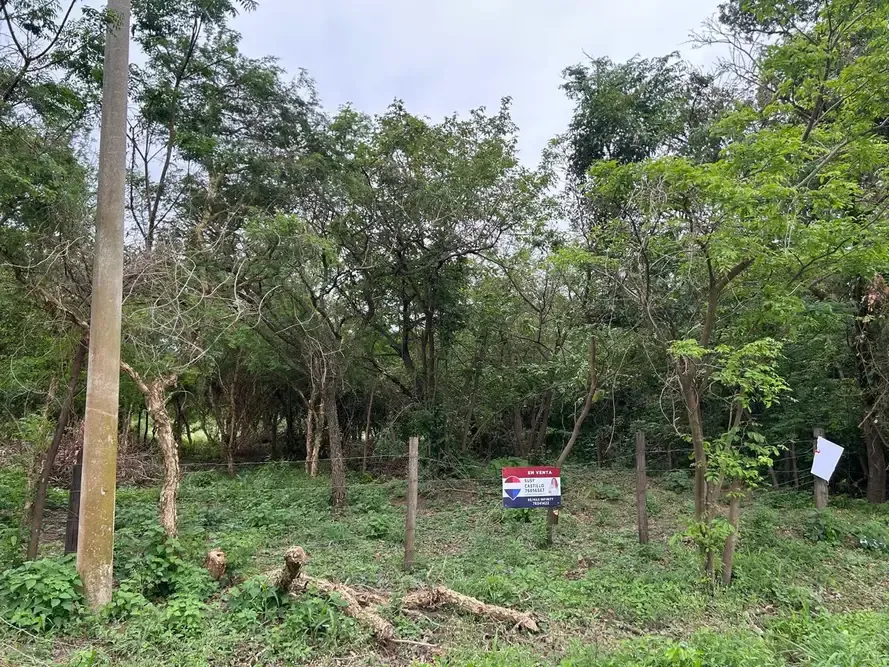 Foto 4 de Terreno en Venta Urbanización San Miguel