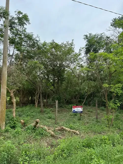 Foto 3 de Terreno en Venta Urbanización San Miguel