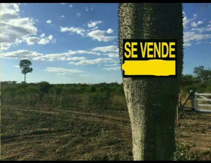 Foto 5 de Propiedad en venta o permuta apta para lecheria, chancheria