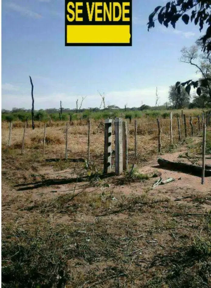 Foto 4 de Propiedad en venta o permuta apta para lecheria, chancheria
