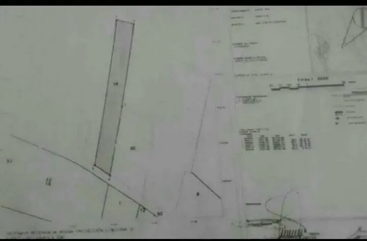 Foto 3 de Propiedad en venta o permuta apta para lecheria, chancheria