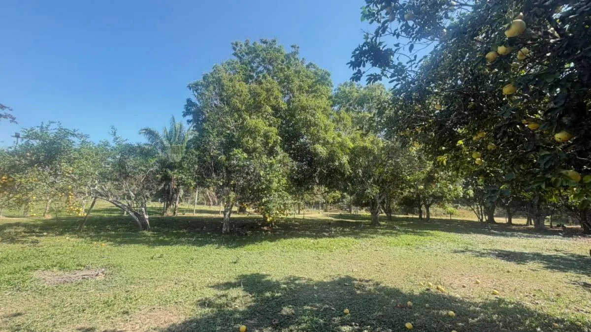 Foto 1 de pequeña propiedad en venta