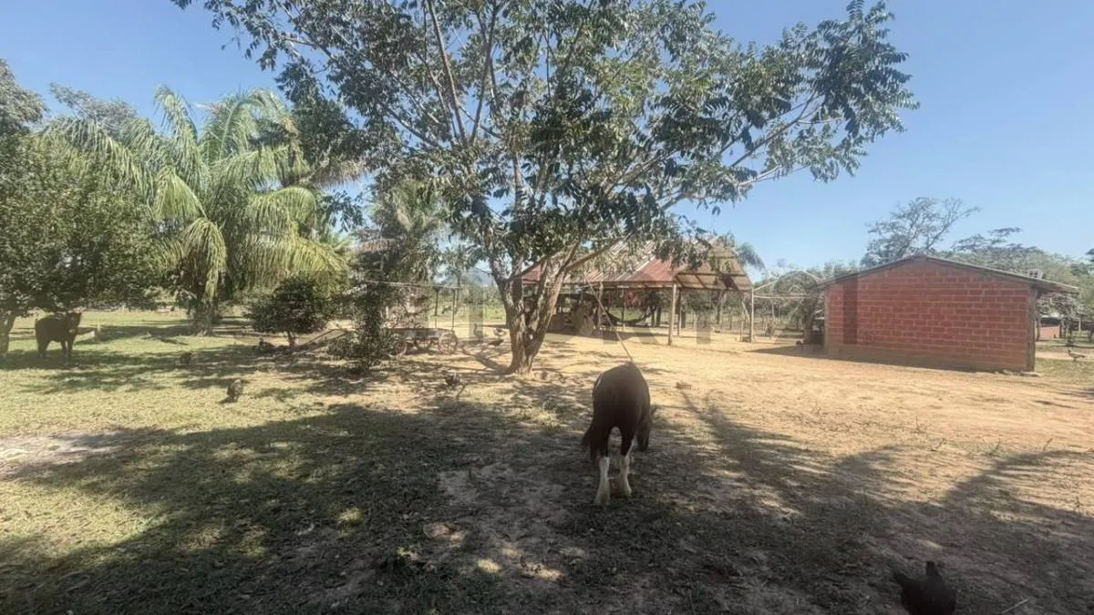 Foto 3 de pequeña propiedad en venta