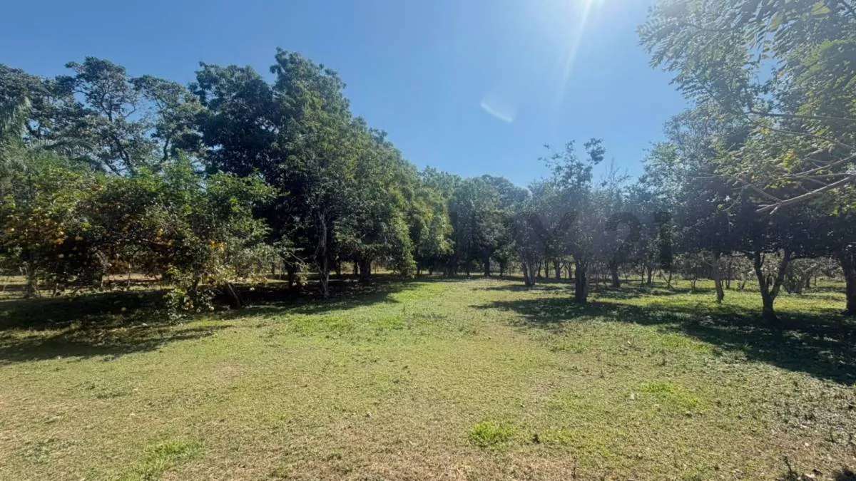 Foto 2 de pequeña propiedad en venta