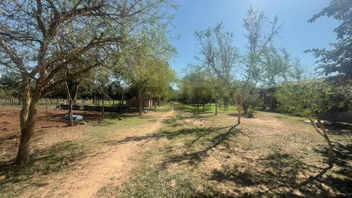 Foto 8 de pequeña propiedad en venta