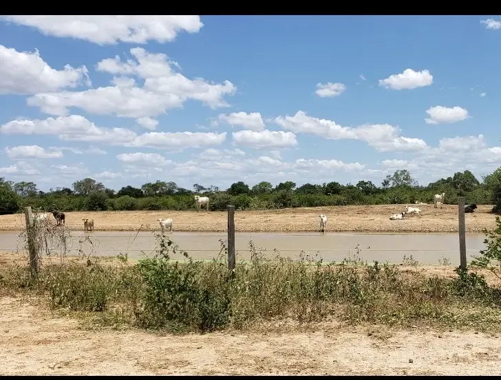 Foto 4 de Propiedad 3000 y 2800 Hectareas colindantes Agricolas ganaderas