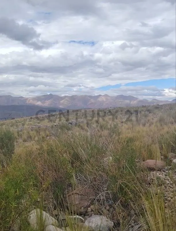 Foto 2 de Terreno en Venta para Acoplo de Mineral