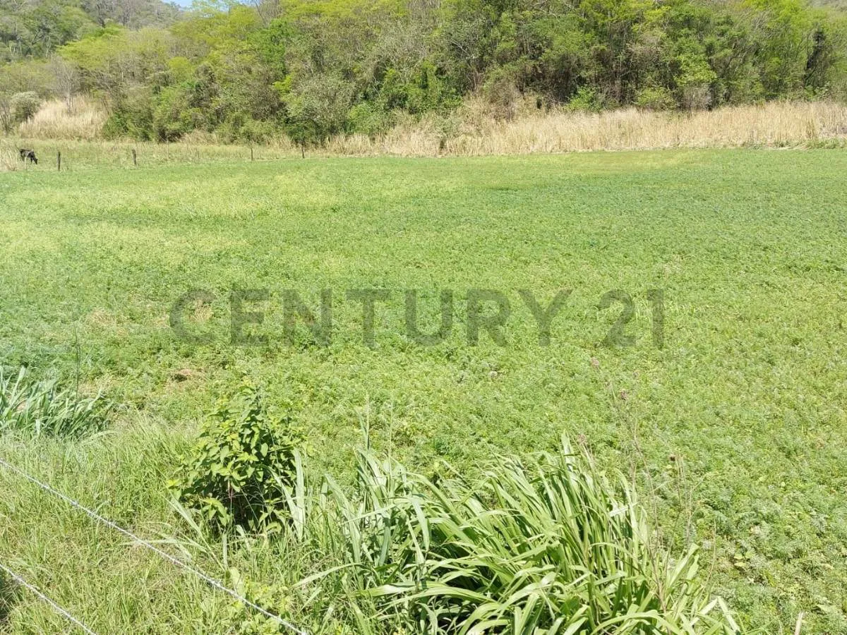 Foto 4 de Propiedad agropecuaria