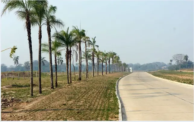 Foto 4 de Terreno en Venta-Puerto Esmeralda-Urubo