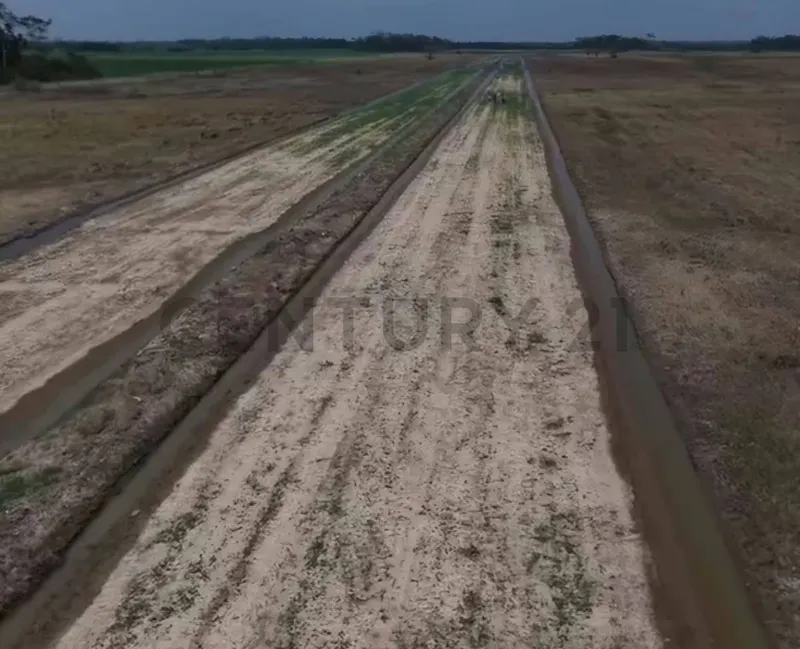 Foto 18 de El Futuro Productivo del Beni Ya Está en Marcha!!