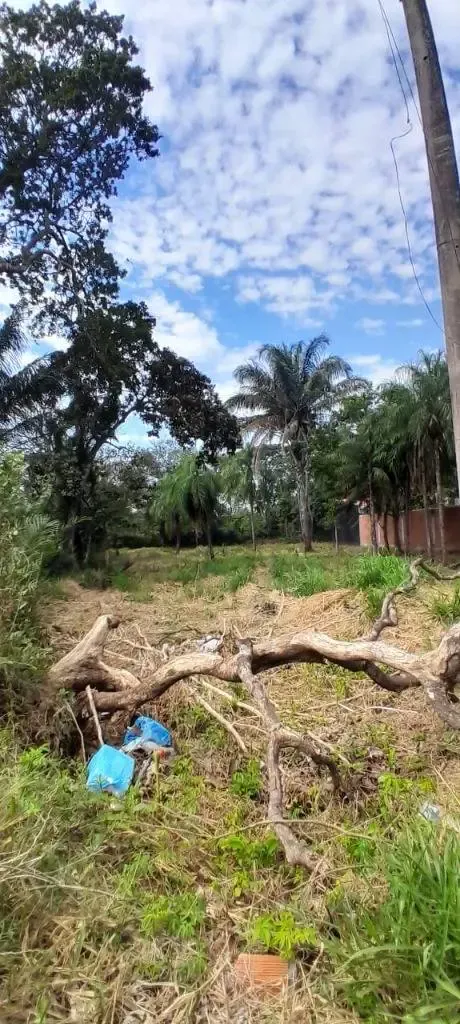 Foto 1 de Terreno en Alquiler Sobre Av; G/77