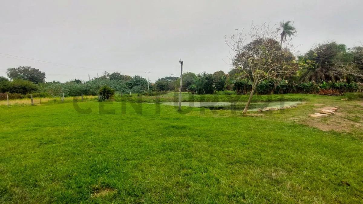 Foto 7 de Quinta en Venta – en San Miguel de Velasco