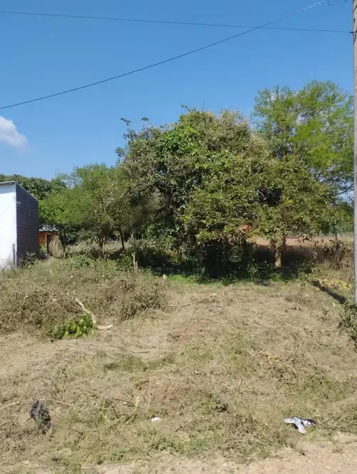 Foto 6 de Terreno en venta de 420 m² en Urbanización Chapa, Montero
