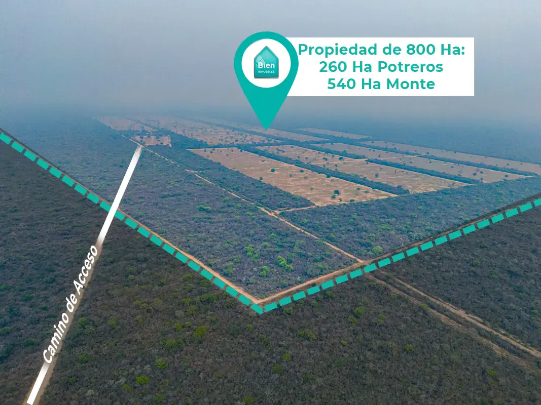 Foto 1 de Propiedad Ganadera En Venta En Pailon Sur