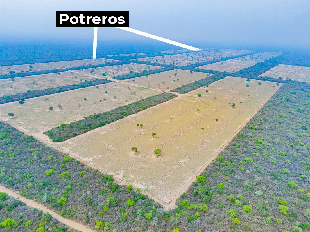 Foto 3 de Propiedad Ganadera En Venta En Pailon Sur