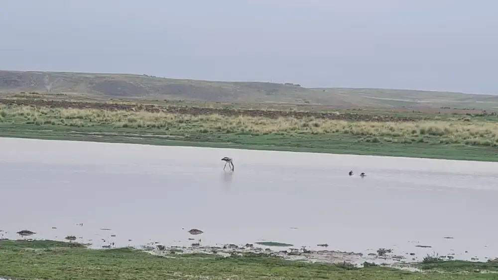 Foto 2 de Gran propiedad agrícola y ganadera de 416 hectáreas en Viacha, Provincia Ingavi