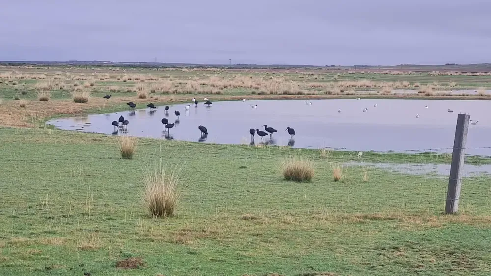 Foto 3 de Gran propiedad agrícola y ganadera de 416 hectáreas en Viacha, Provincia Ingavi