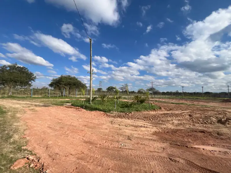 Foto 6 de **Terreno en Alquiler – Carretera a Porongo**