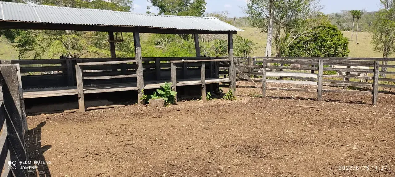 Foto 5 de Propiedad en Venta Mas Ganado en San Javier