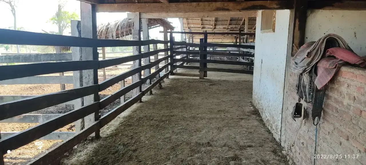 Foto 4 de Propiedad en Venta Mas Ganado en San Javier