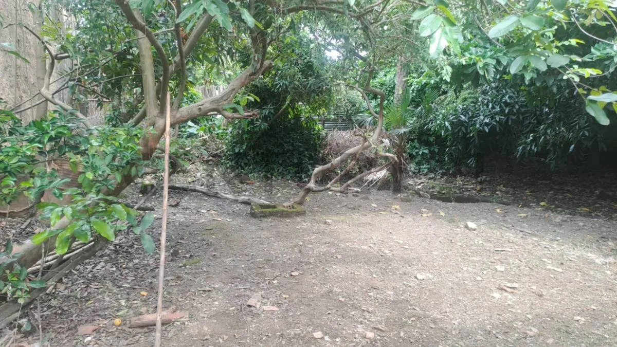 Foto 7 de Casa en Venta Centrica en Trinidad, Beni