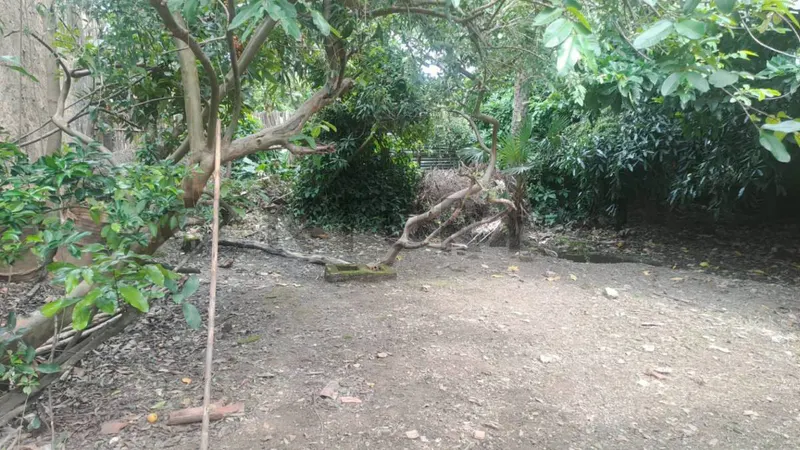 Foto 7 de Casa en Venta Centrica en Trinidad, Beni