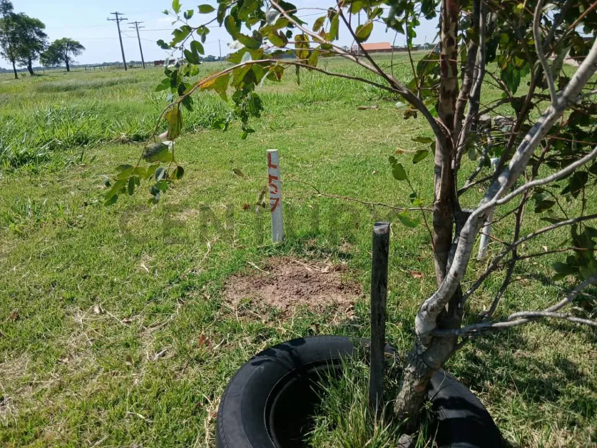 Foto 3 de Terreno en Venta Urbanizacion La Herradura Zona Este