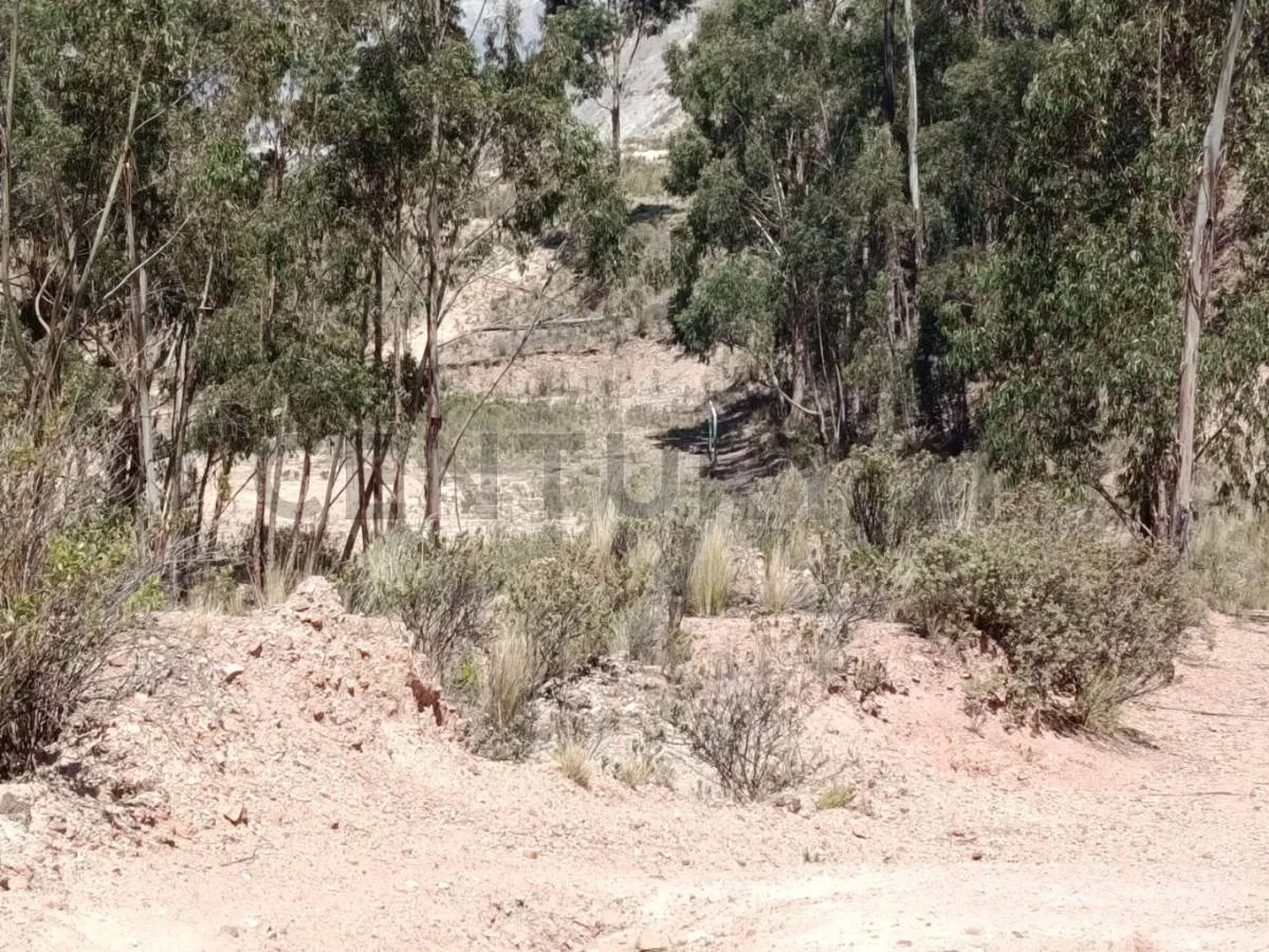 Foto 4 de Terreno con Alto Potencial