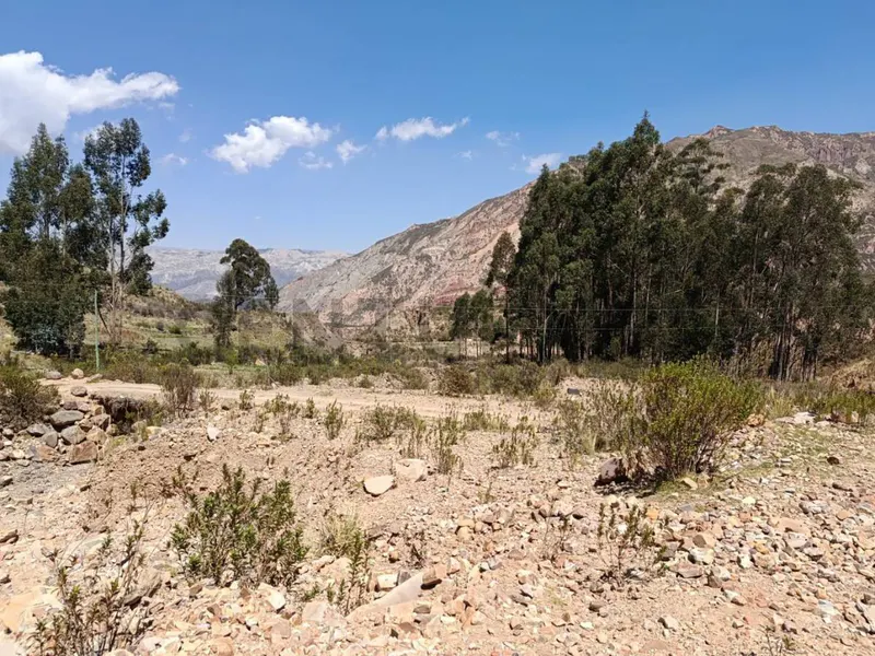 Foto 10 de Terreno con Alto Potencial