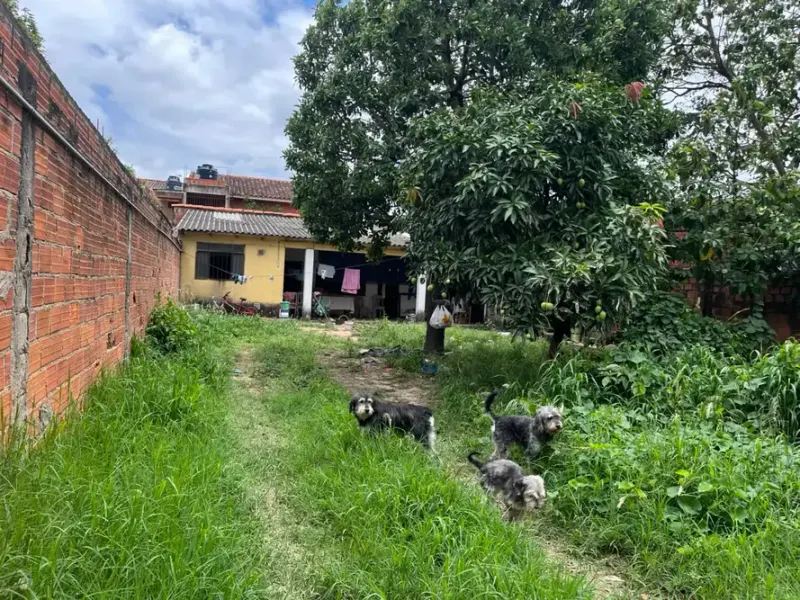 Foto 8 de 🏡 ¡Casa en Venta a Precio de Terreno – Plan 3000!
