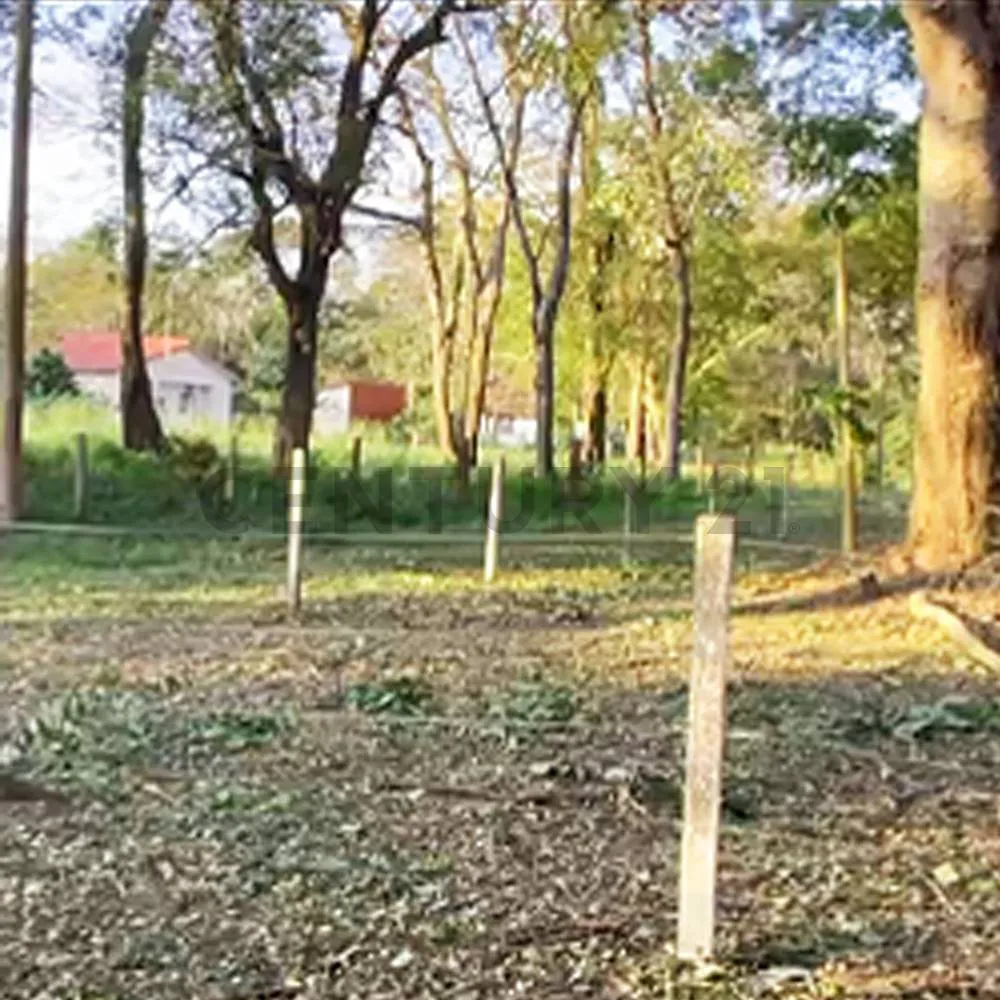 Foto 4 de Terreno en Venta