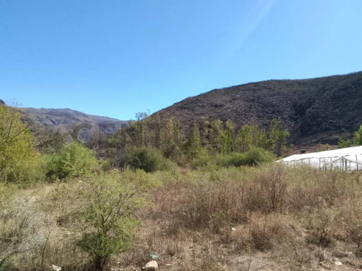 Foto 3 de Se Vende Terreno Agrícola en Erquis Norte, Tarija