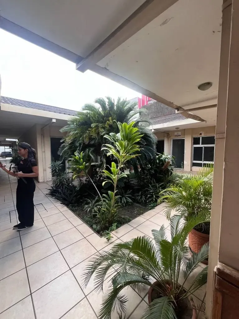Foto 5 de Edificio Comercial En Venta