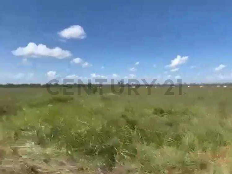 Foto 4 de Propiedad Rural Ideal para Inversión!!