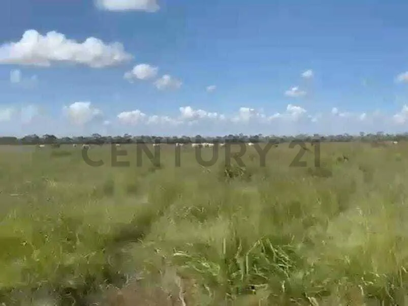 Foto 5 de Propiedad Rural Ideal para Inversión!!