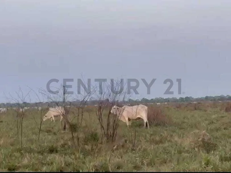 Foto 10 de Propiedad Rural Ideal para Inversión!!